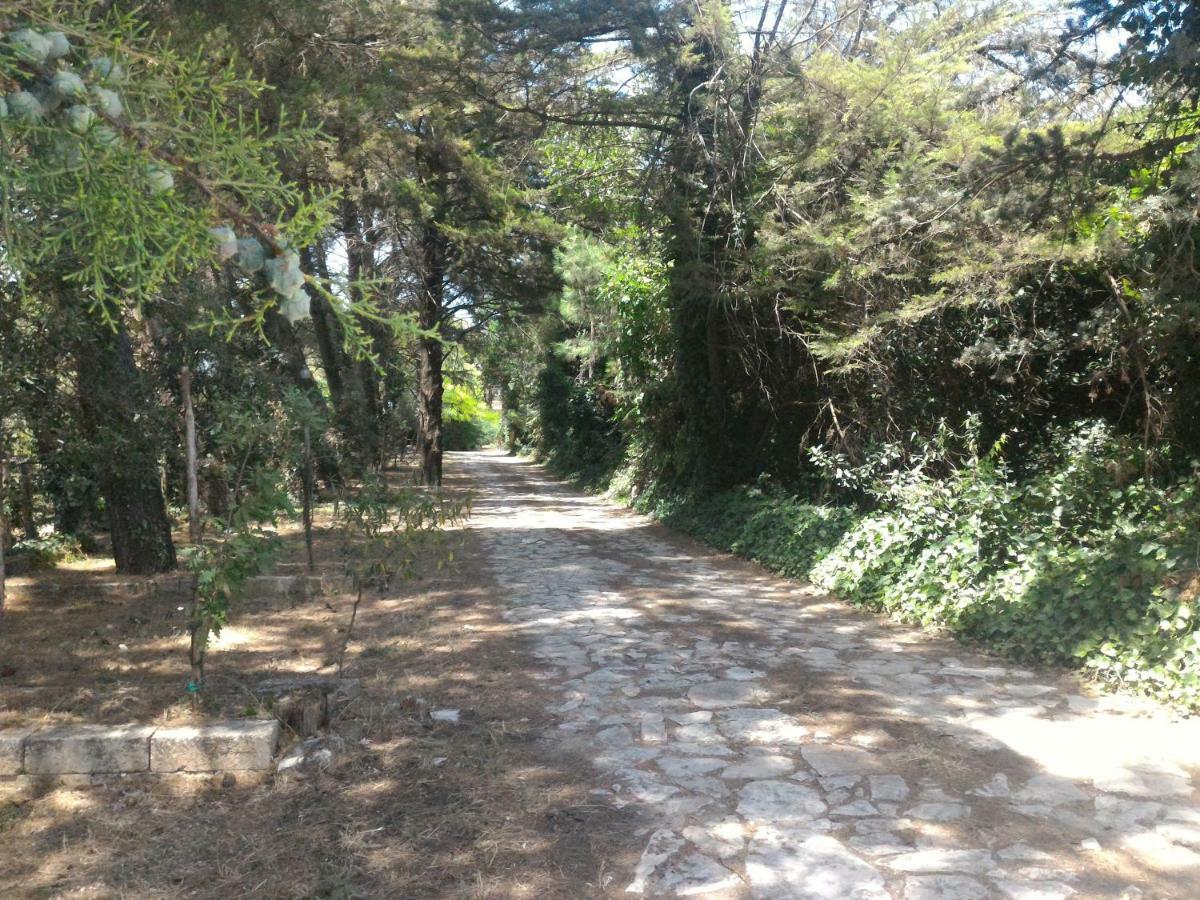 מטרה Masseria La Fiorita מראה חיצוני תמונה
